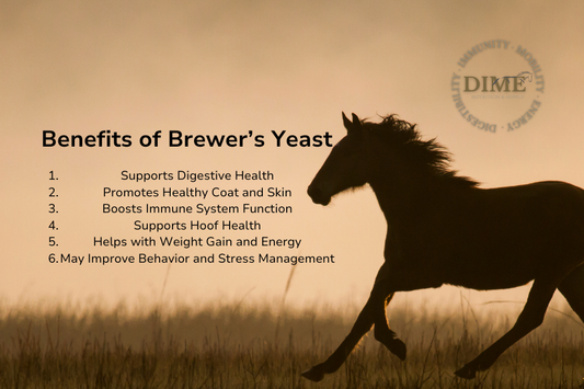 Brewer's Yeast: What is it and Why Feed it?