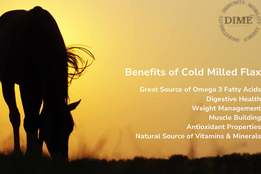 The Benefits of Flaxseed for Horses: Ground vs. Cold Milled