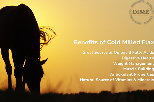 The Benefits of Flaxseed for Horses: Ground vs. Cold Milled